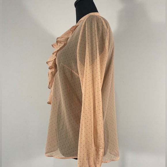 H & M Pink Polka Dot Ruffle top, Sheer, button up, Size Small - Picture 4 of 8